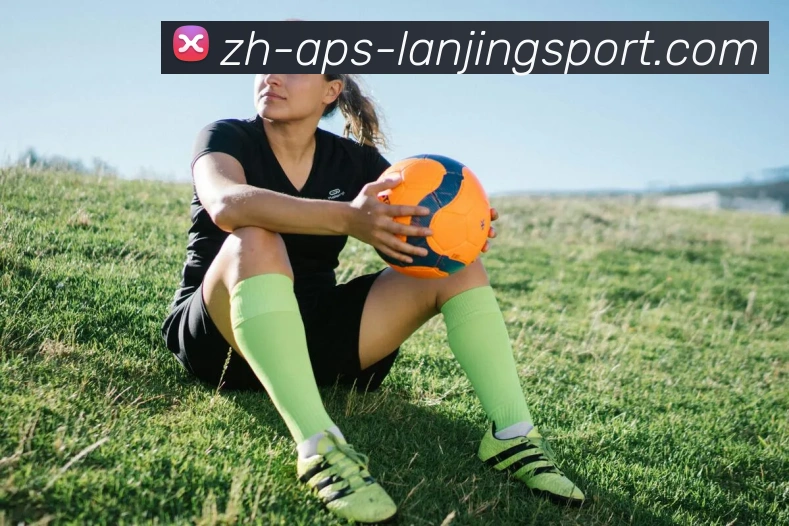 蓝鲸体育平台生态图